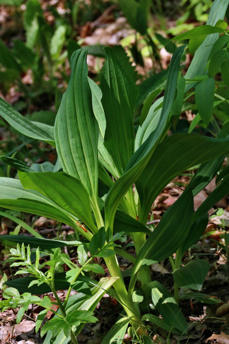 RNA_2017_05_17_4628p_Bildgr��e �ndern