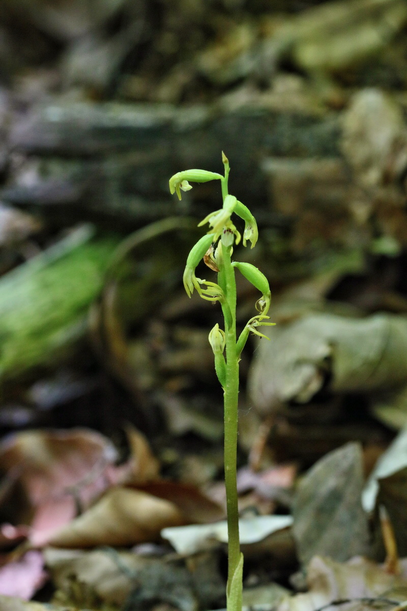 RNA_2017_05_17_4658p_Bildgr��e �ndern