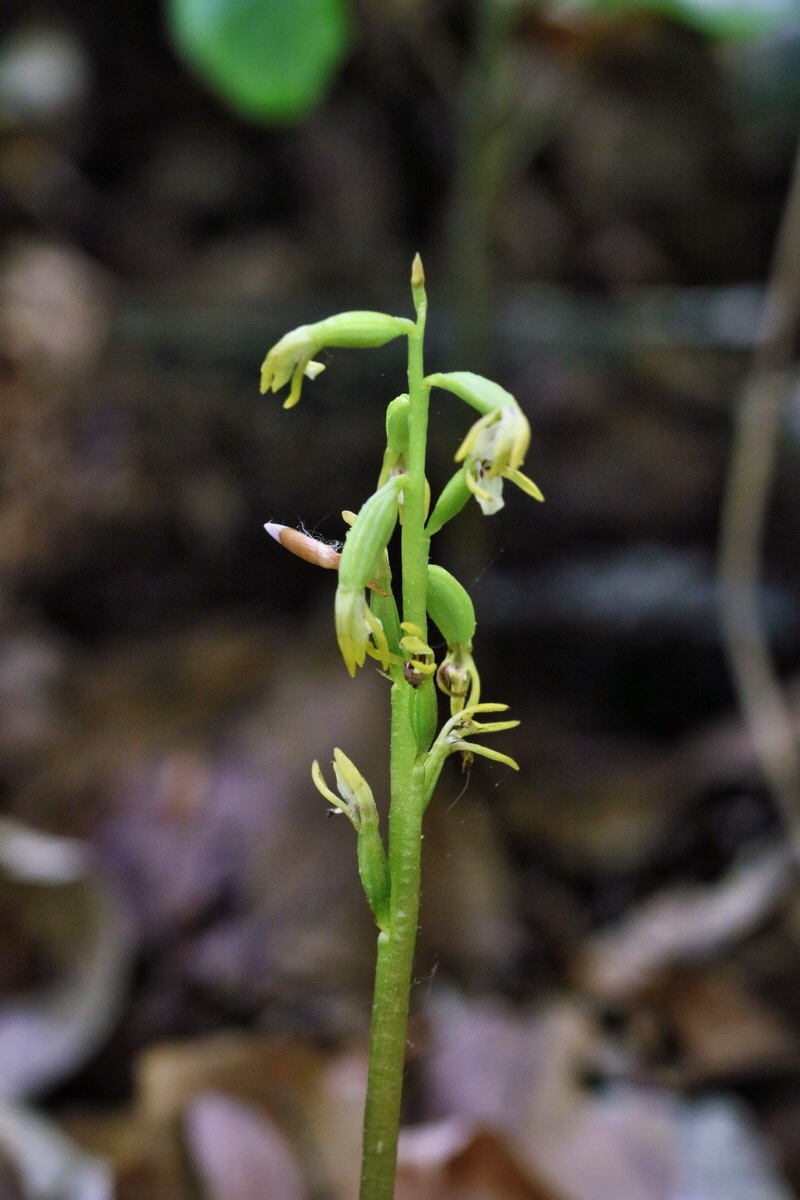 RNA_2017_05_17_4675p_Bildgr��e �ndern