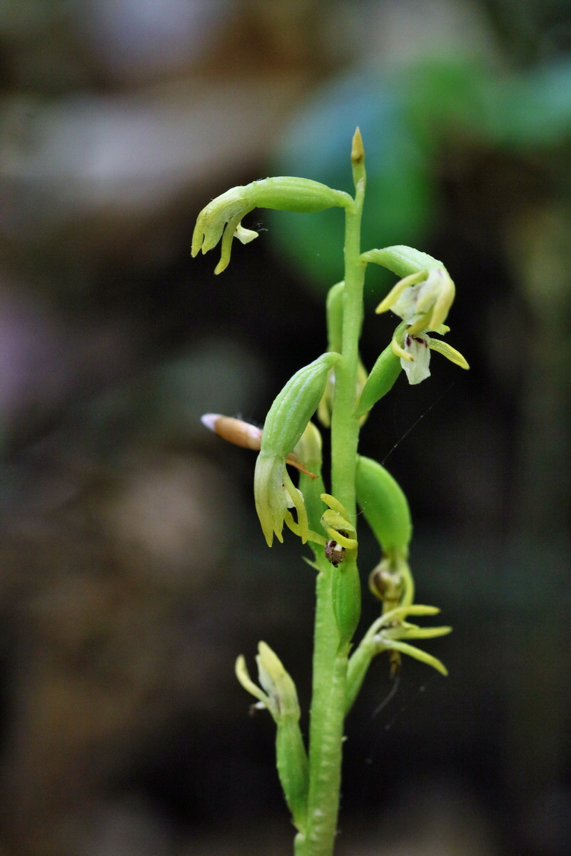 RNA_2017_05_17_4684p_Bildgr��e �ndern