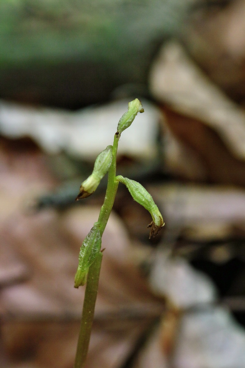 RNA_2017_05_17_4689p_Bildgr��e �ndern