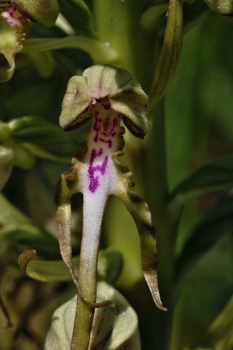 RNA_2017_05_17_4747p_Bildgr��e �ndern