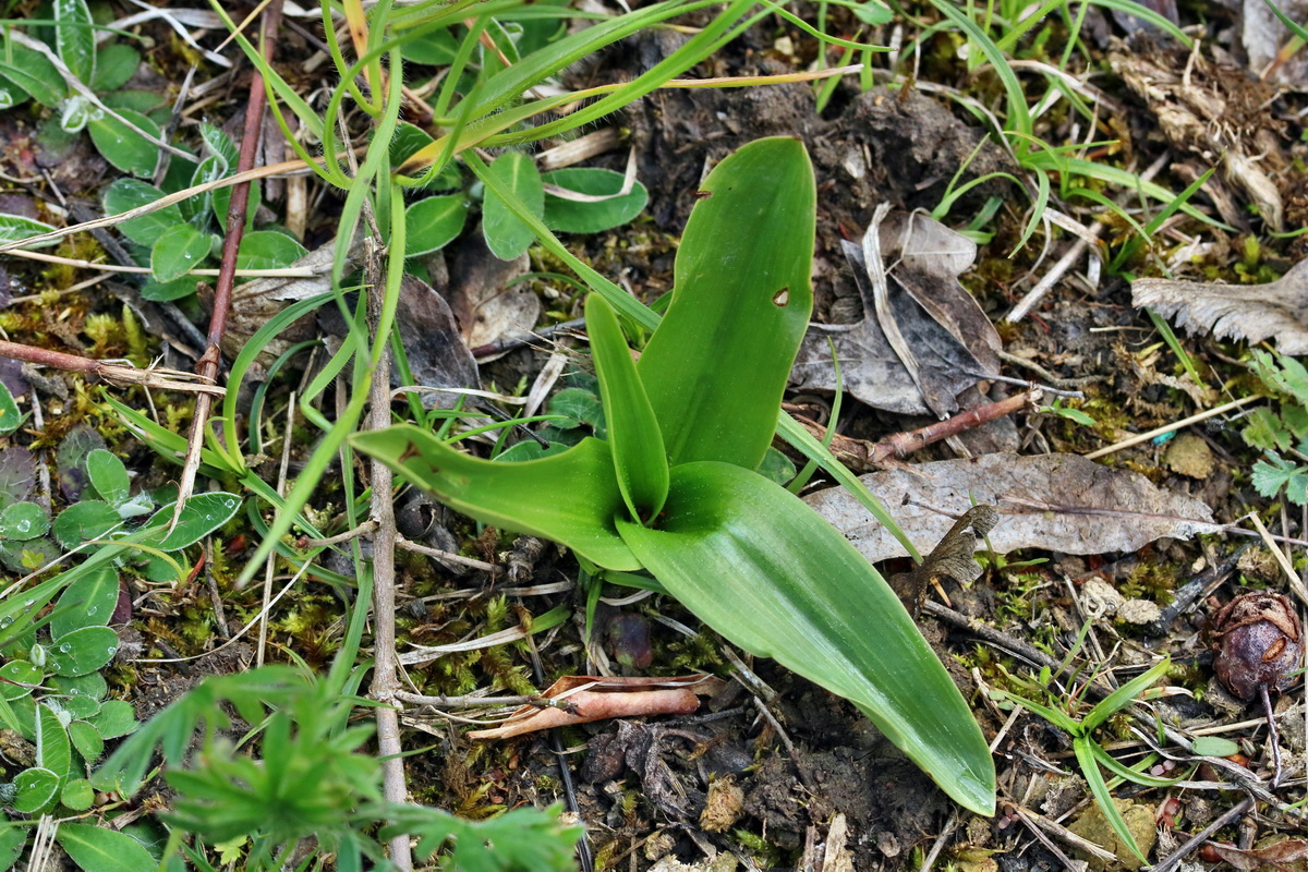 IMG_2355p_Bildgr��e �ndern