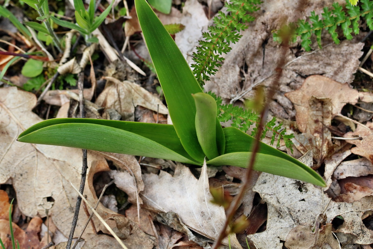 IMG_2357p_Bildgr��e �ndern