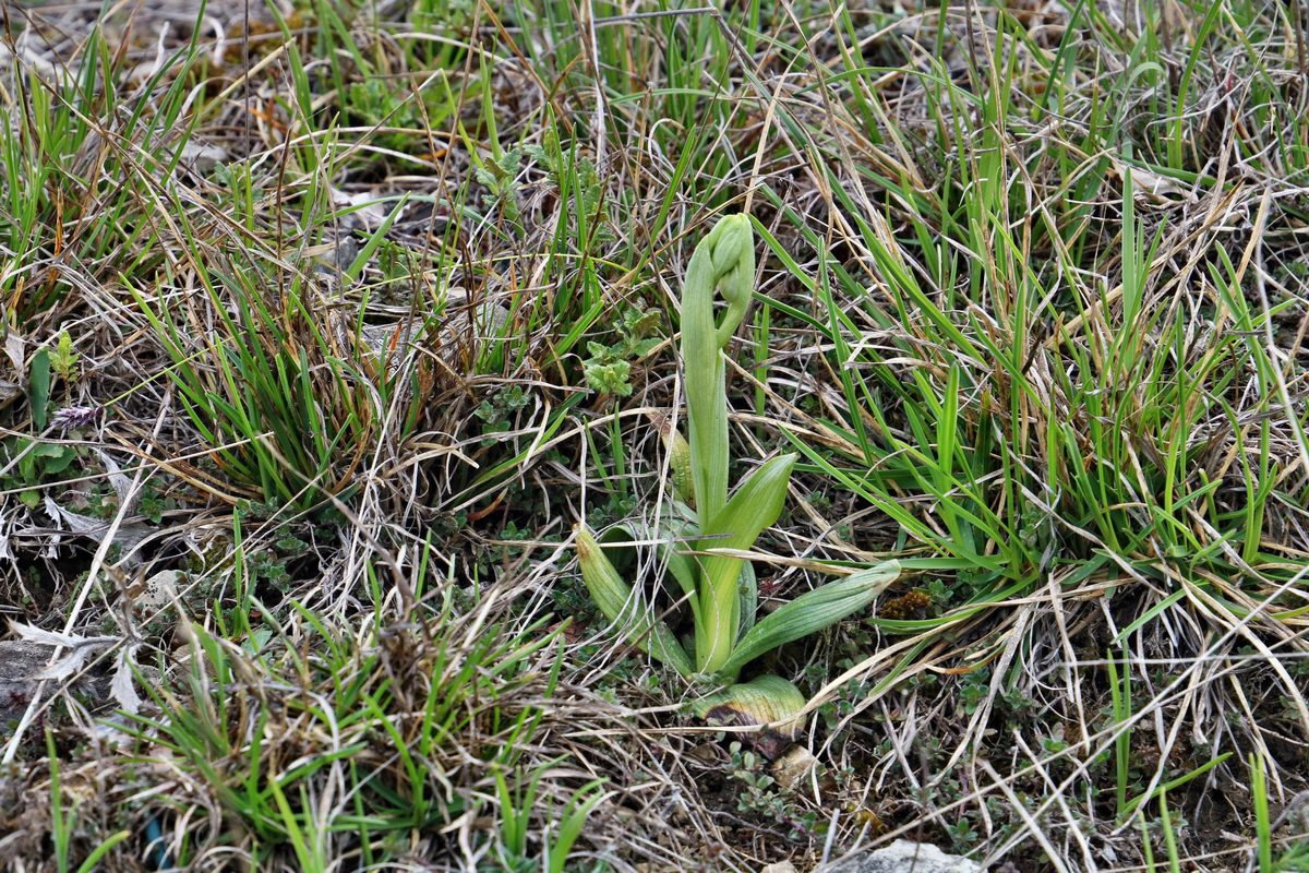 IMG_2368p_Bildgr��e �ndern