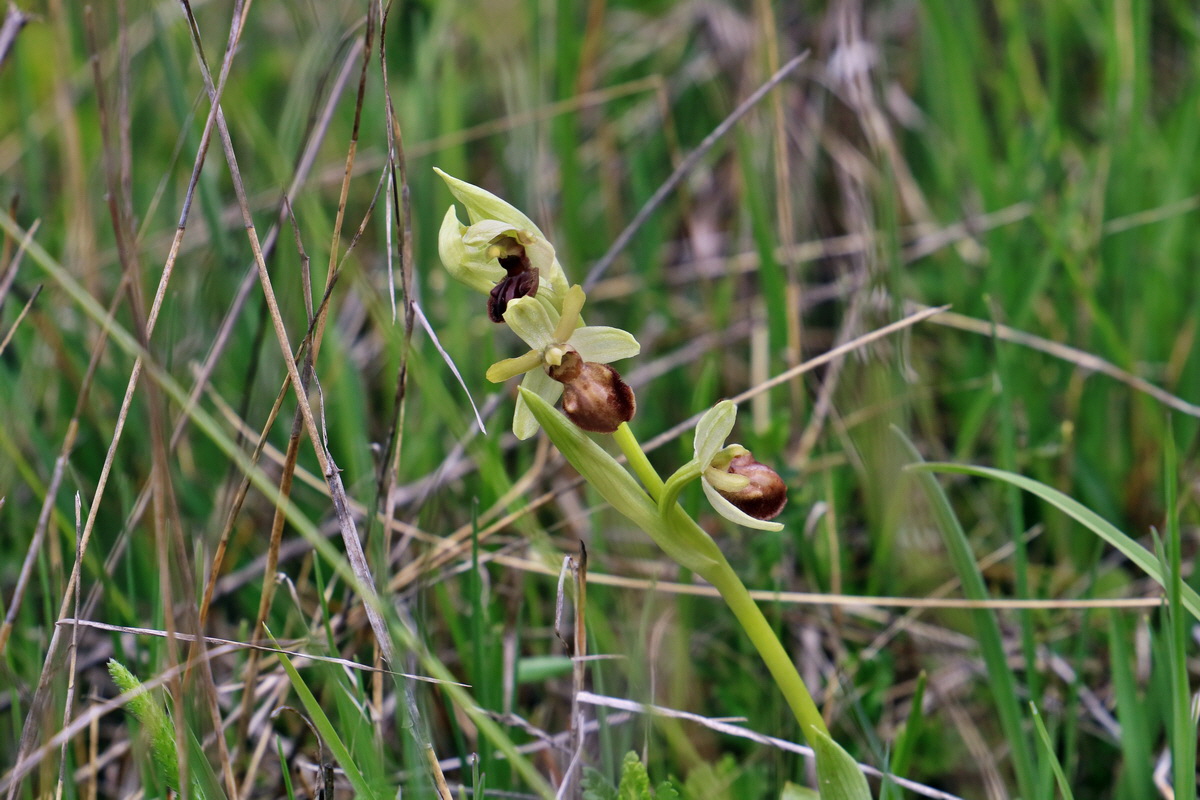 IMG_2372p_Bildgr��e �ndern