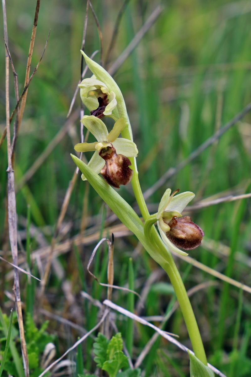 IMG_2377p_Bildgr��e �ndern