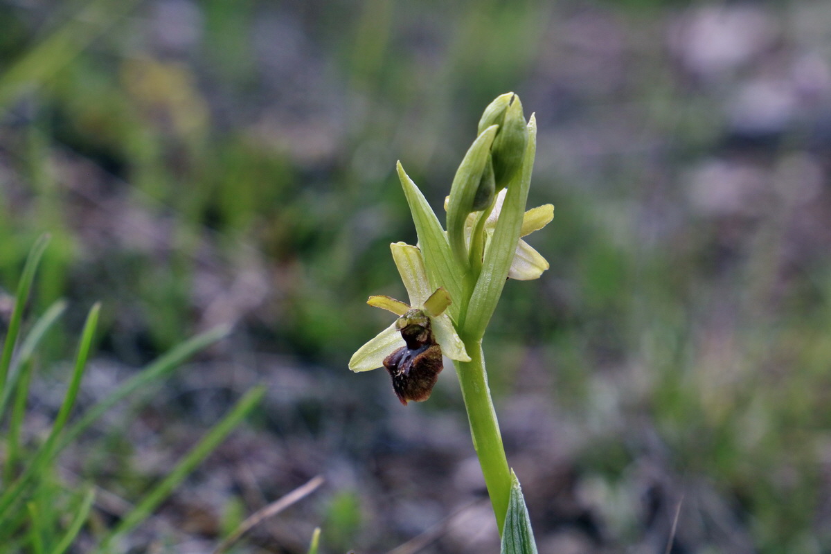 IMG_2379p_Bildgr��e �ndern