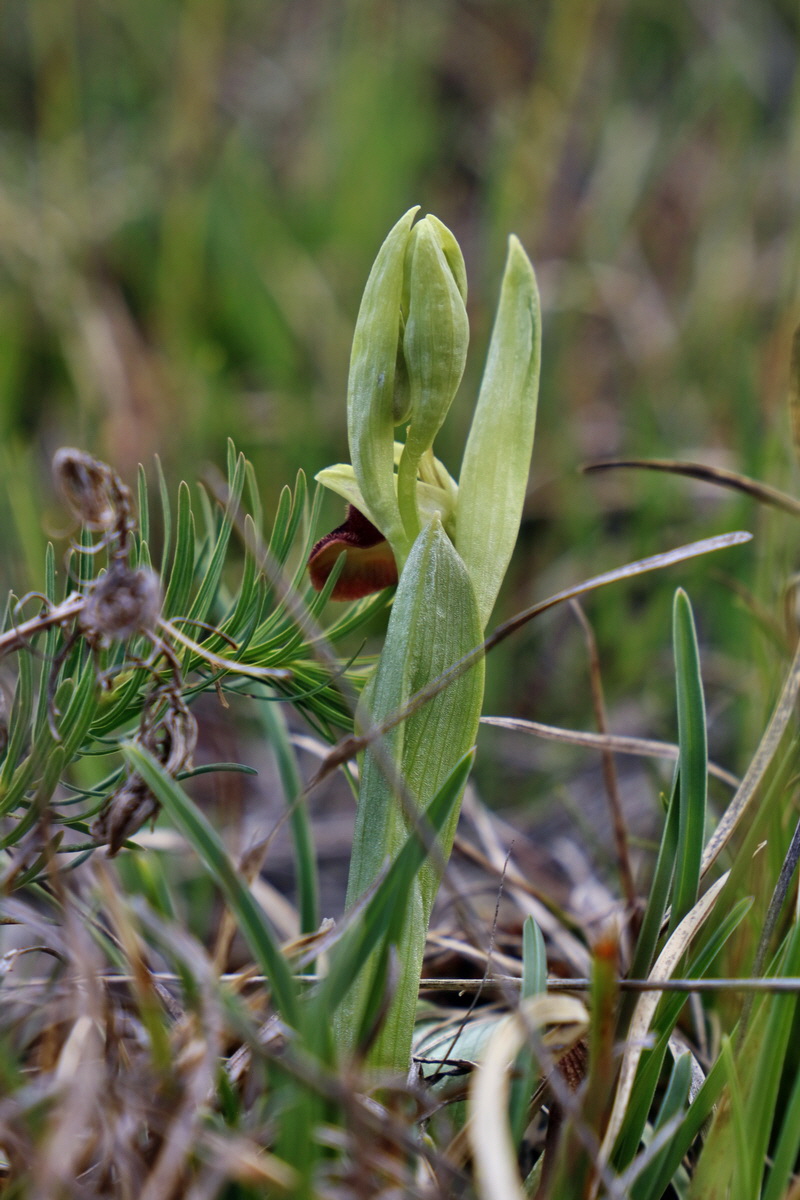 IMG_2386p_Bildgr��e �ndern