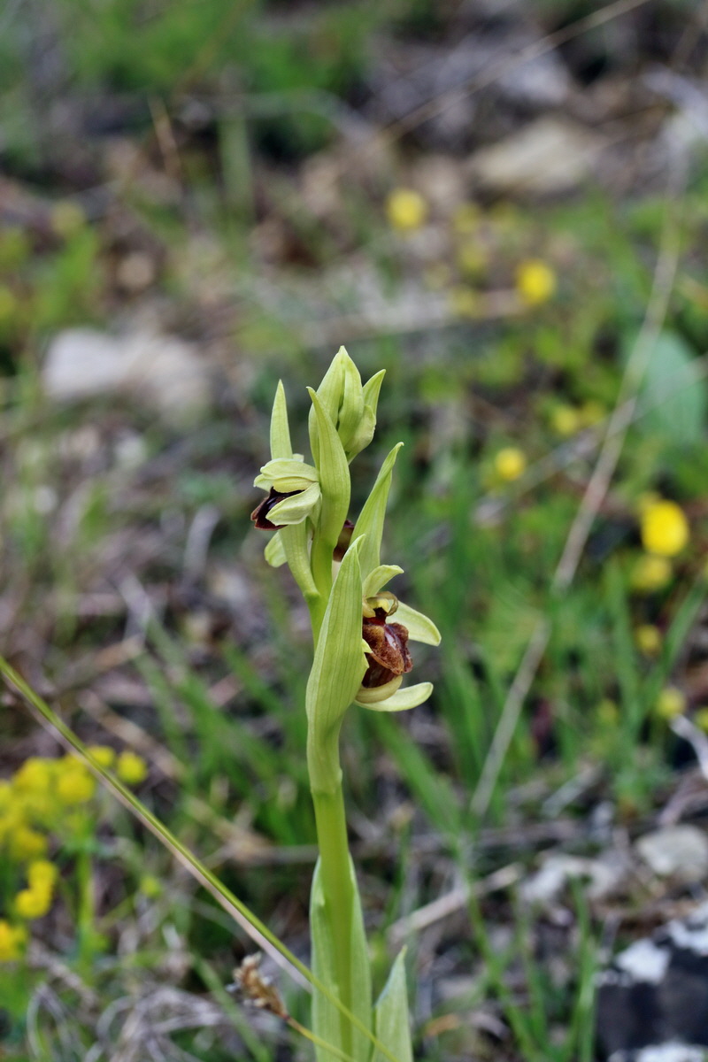 IMG_2399p_Bildgr��e �ndern