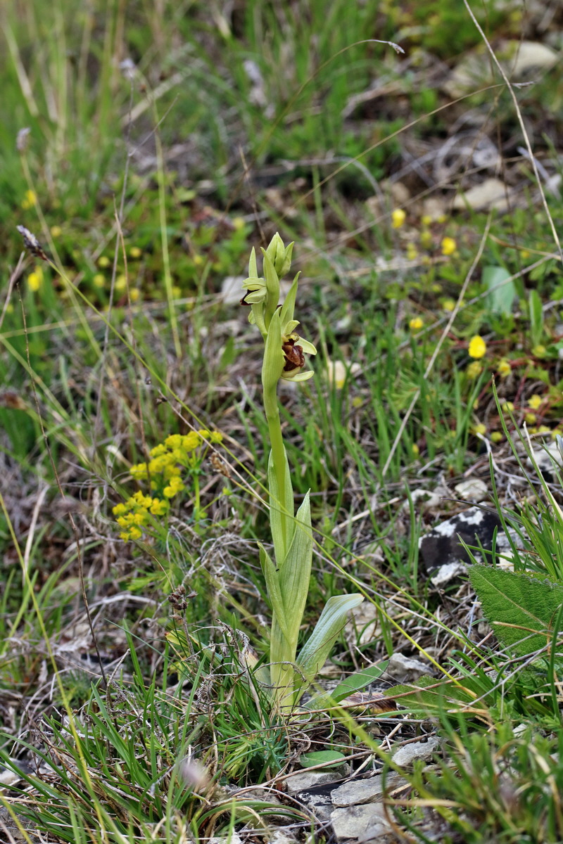 IMG_2403p_Bildgr��e �ndern