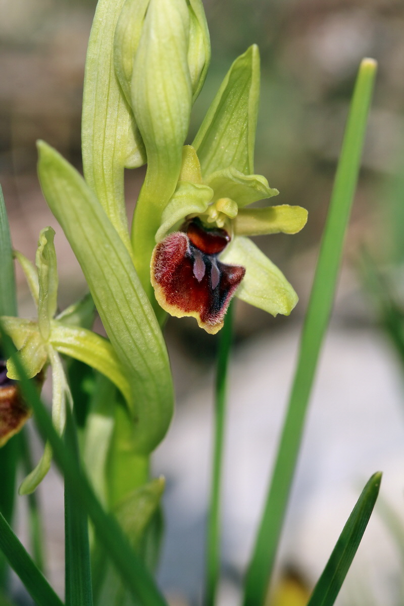 IMG_2411p_Bildgr��e �ndern