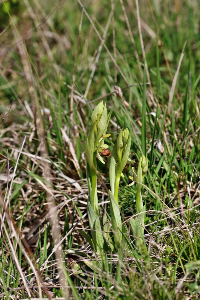 IMG_2415p_Bildgr��e �ndern