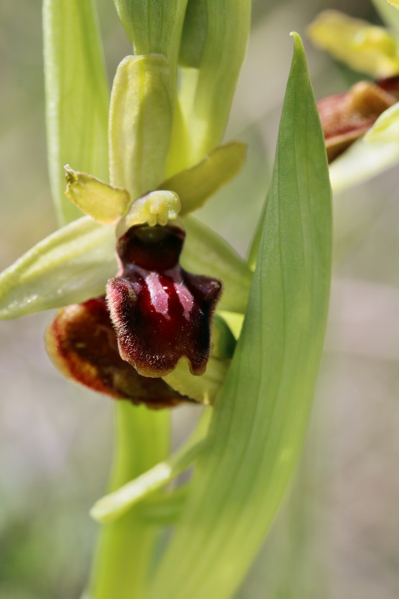 IMG_2432p_Bildgr��e �ndern