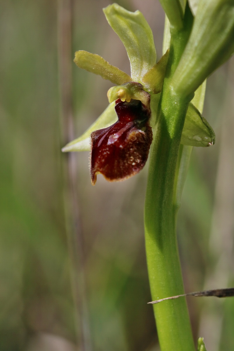 IMG_2437p_Bildgr��e �ndern