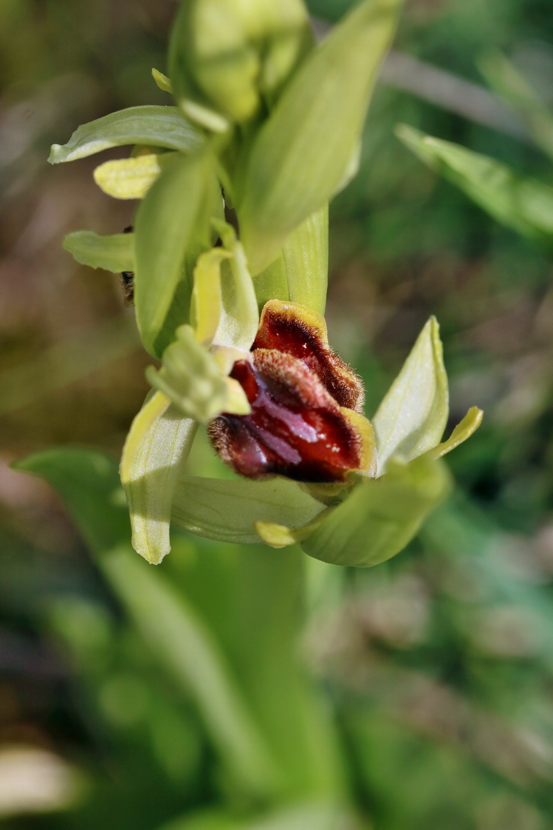 IMG_2447p_Bildgr��e �ndern