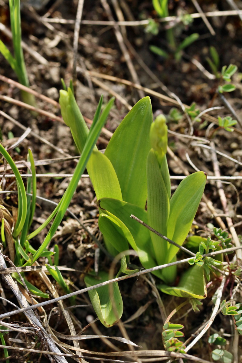 IMG_2451p_Bildgr��e �ndern