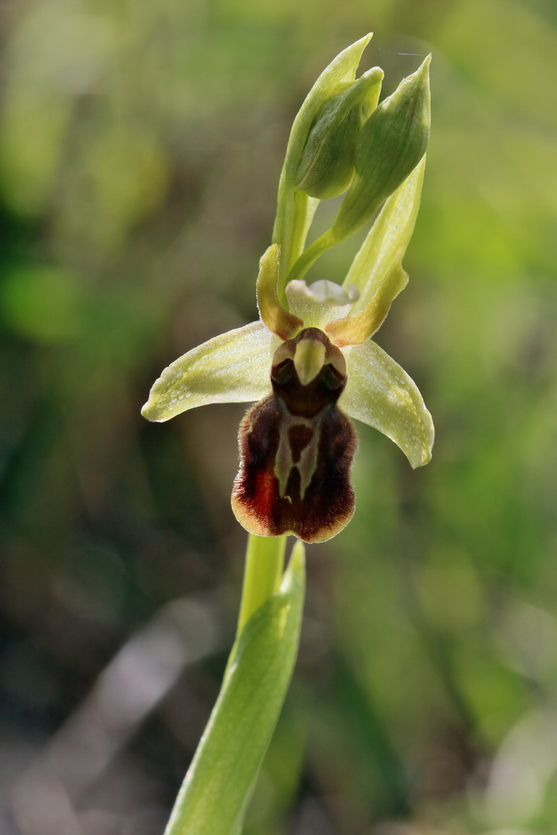 IMG_2454p_Bildgr��e �ndern