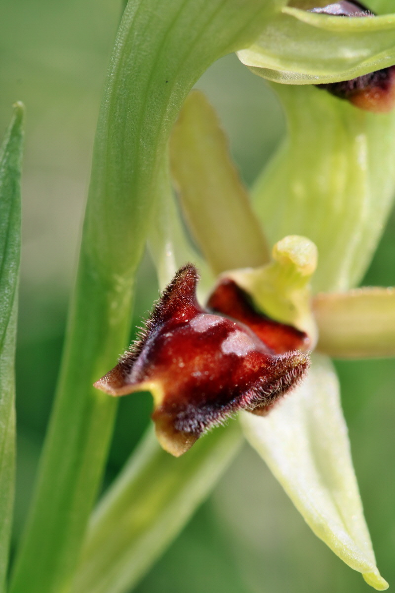 IMG_2458p_Bildgr��e �ndern