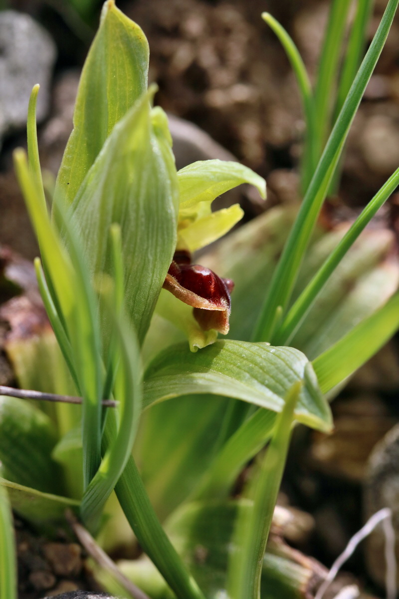 IMG_2464p_Bildgr��e �ndern