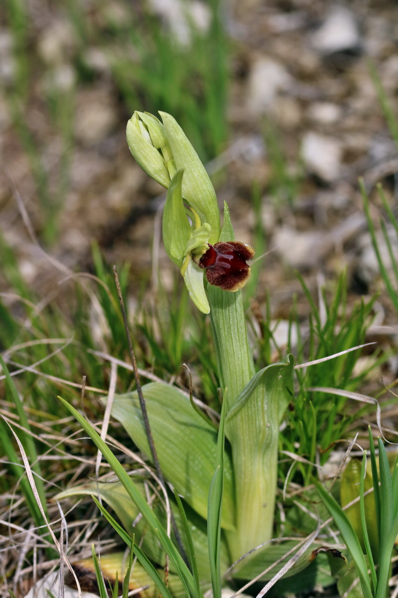 IMG_2468p_Bildgr��e �ndern