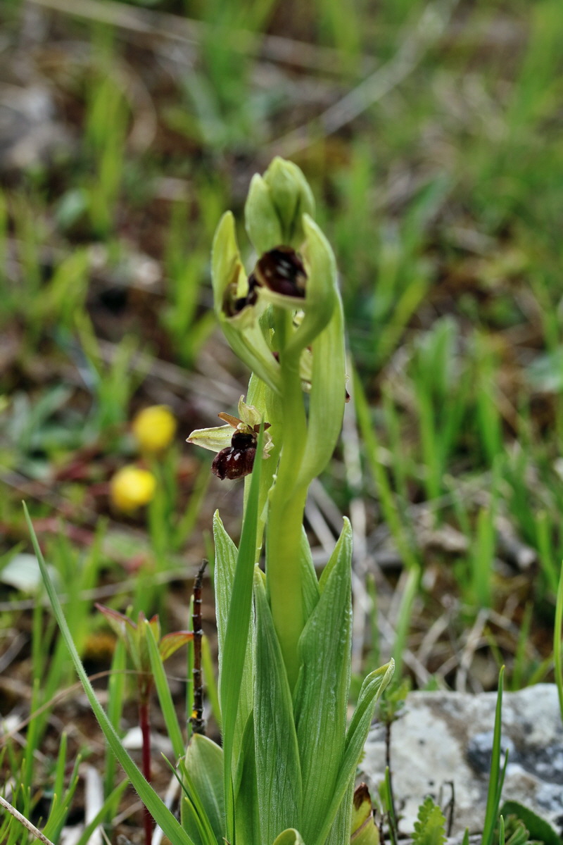 IMG_2473p_Bildgr��e �ndern