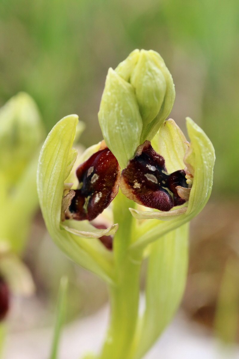 IMG_2477p_Bildgr��e �ndern