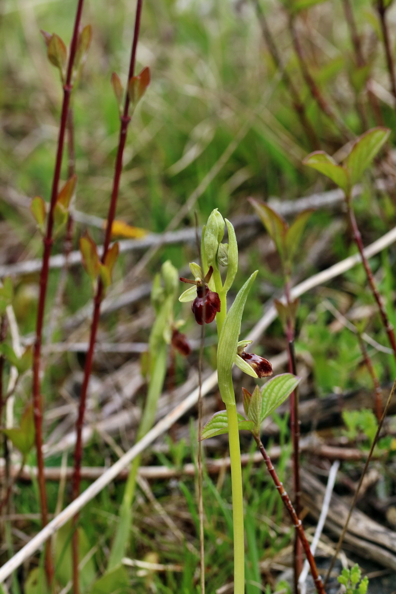 IMG_2481p_Bildgr��e �ndern