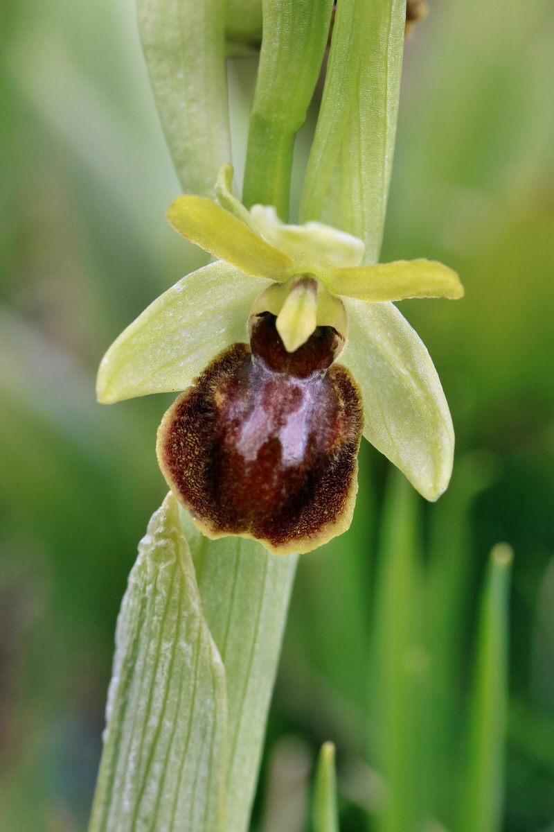 IMG_2501p_Bildgr��e �ndern