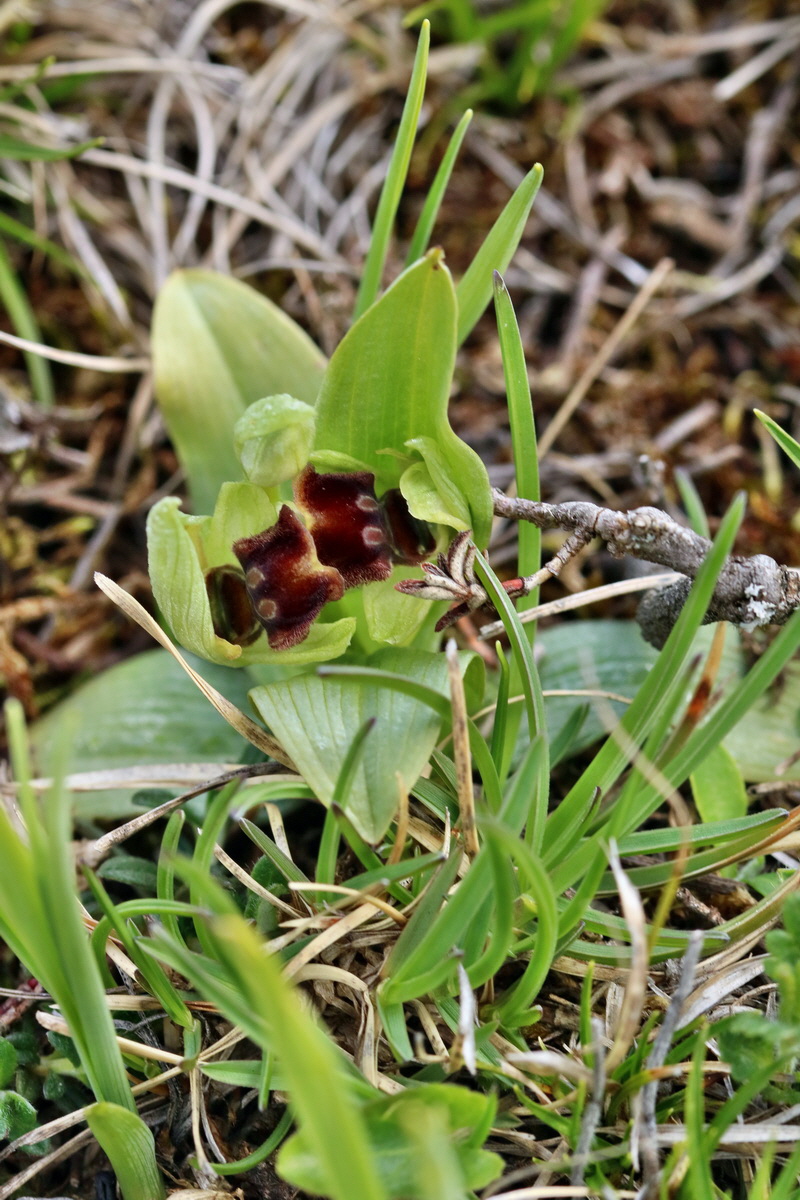 IMG_2509p_Bildgr��e �ndern