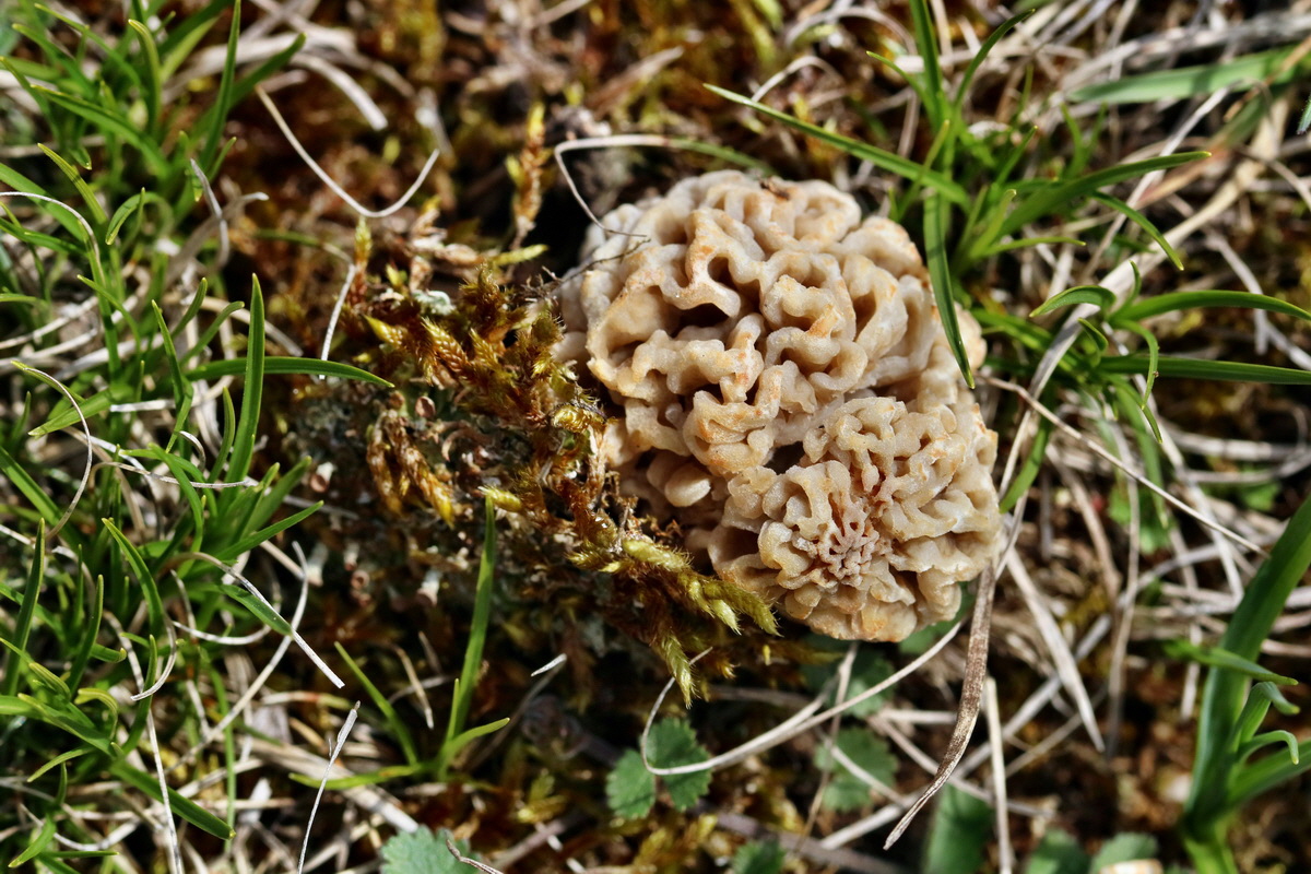 IMG_2514p_Bildgr��e �ndern