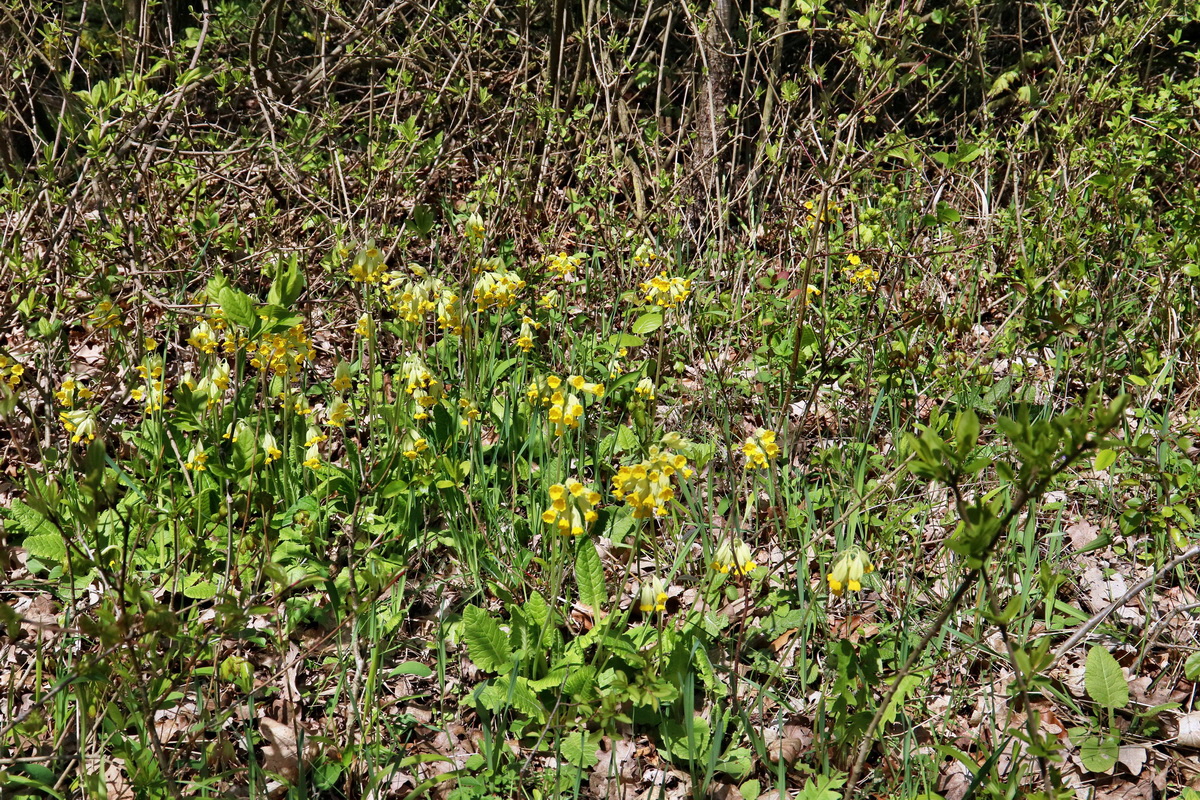 IMG_2518p_Bildgr��e �ndern