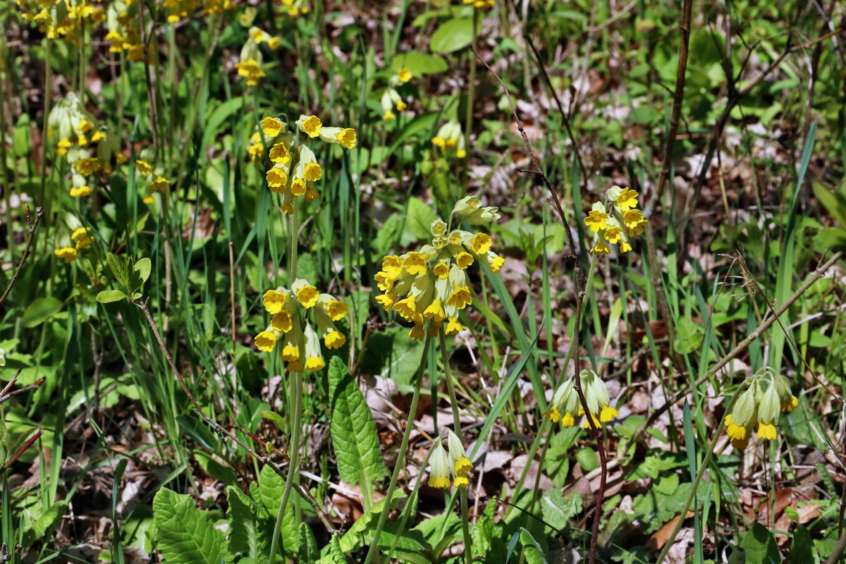 IMG_2522p_Bildgr��e �ndern