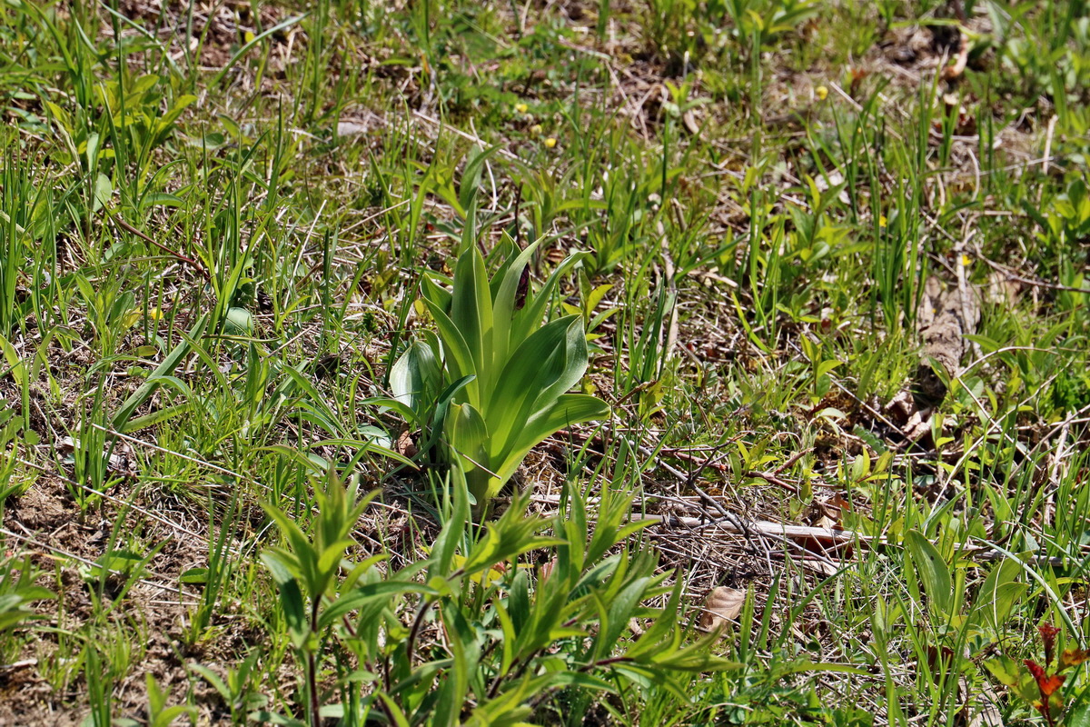 IMG_2525p_Bildgr��e �ndern