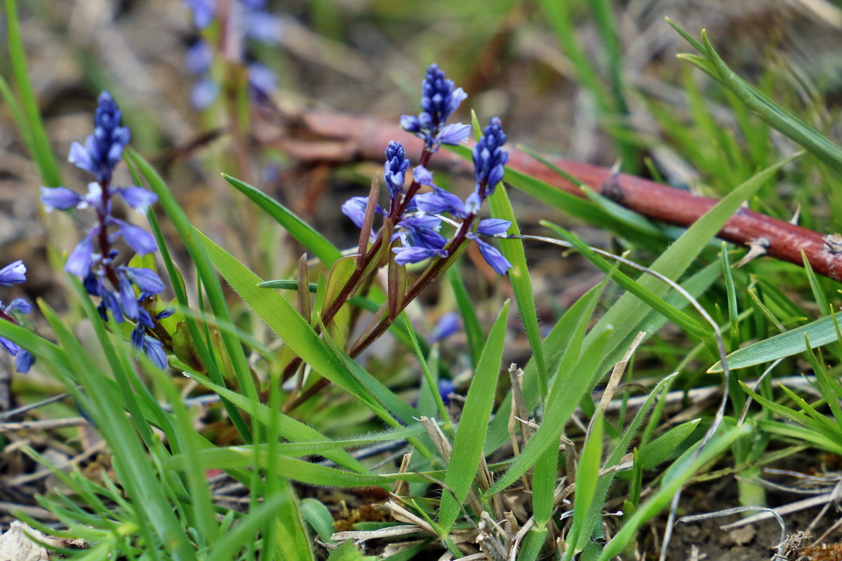 IMG_2529p_Bildgr��e �ndern