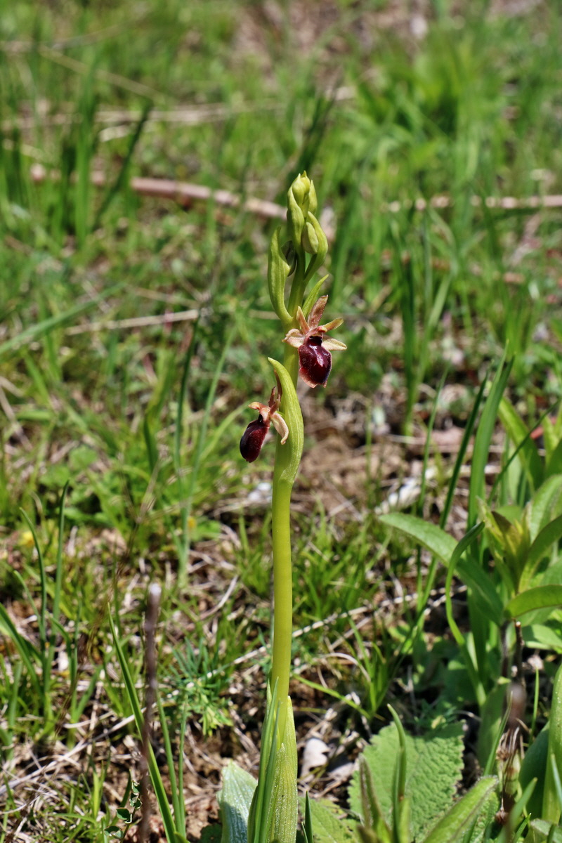 IMG_2545p_Bildgr��e �ndern