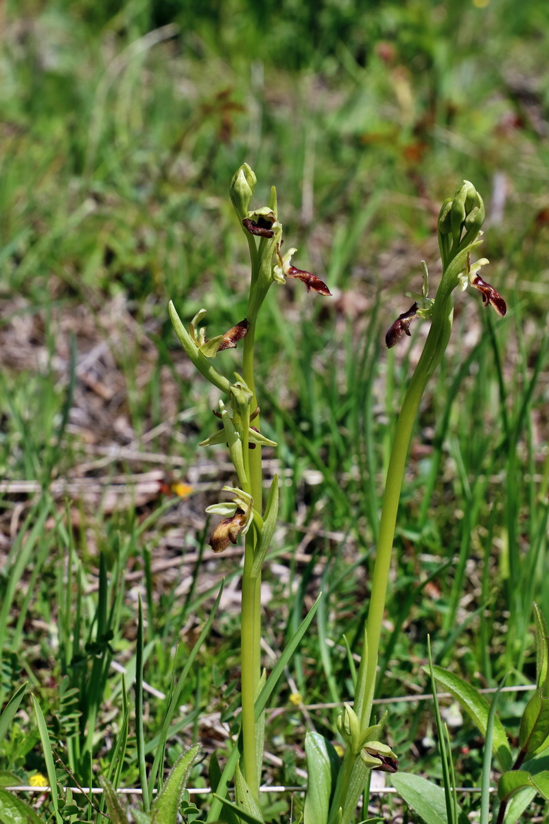 IMG_2548p_Bildgr��e �ndern