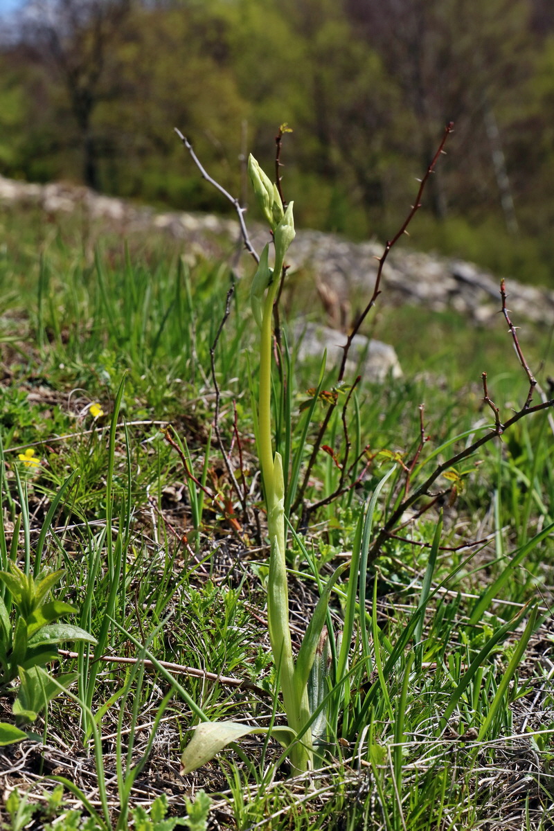 IMG_2556p_Bildgr��e �ndern