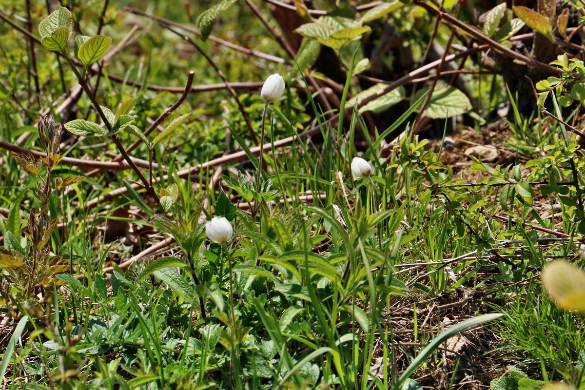 IMG_2562p_Bildgr��e �ndern