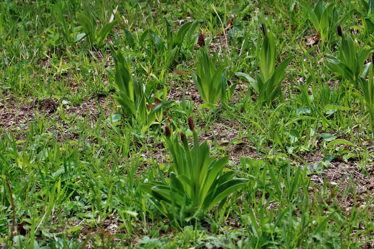 IMG_2564p_Bildgr��e �ndern