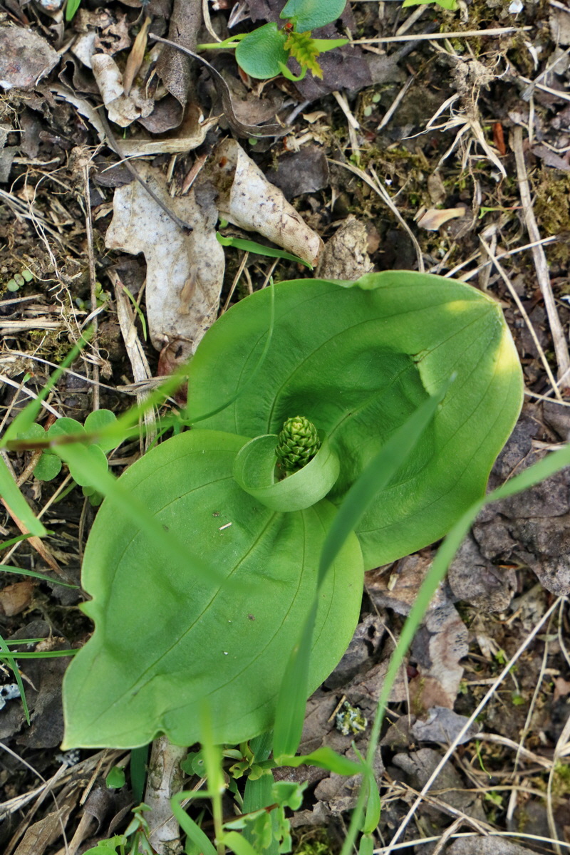 IMG_2568p_Bildgr��e �ndern