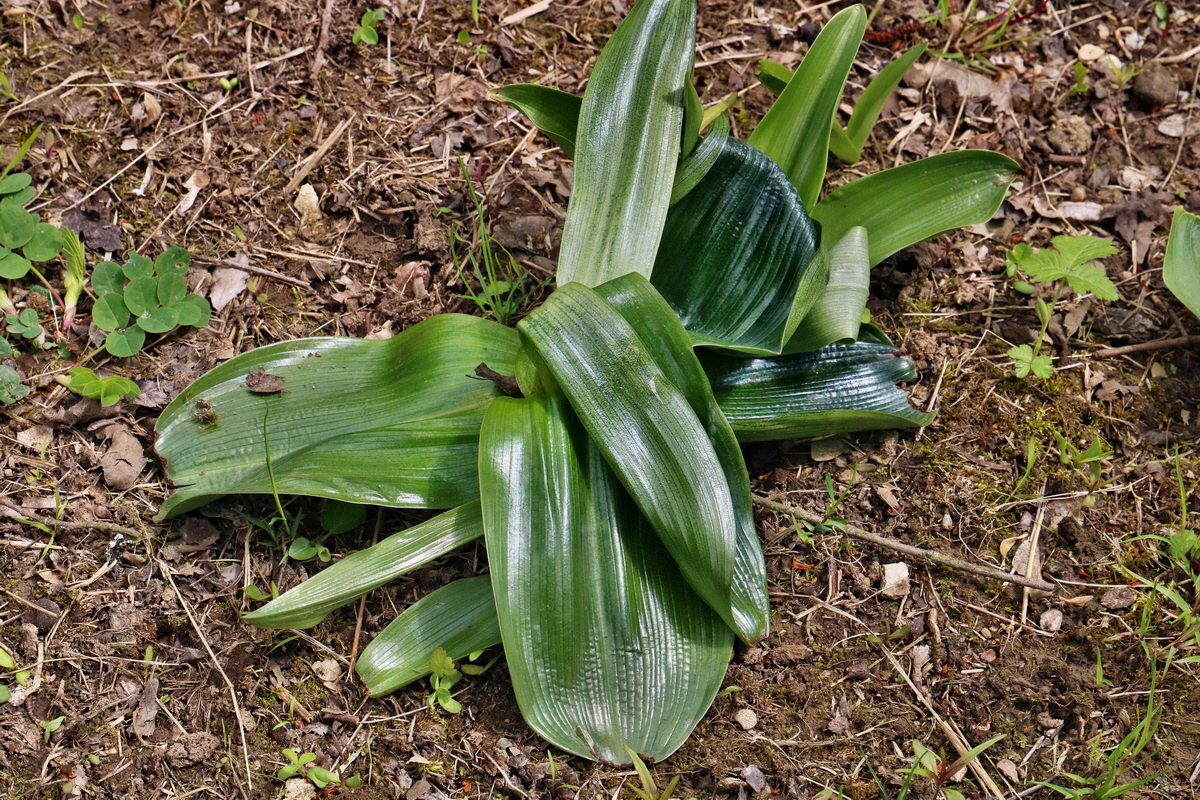 IMG_2574p_Bildgr��e �ndern