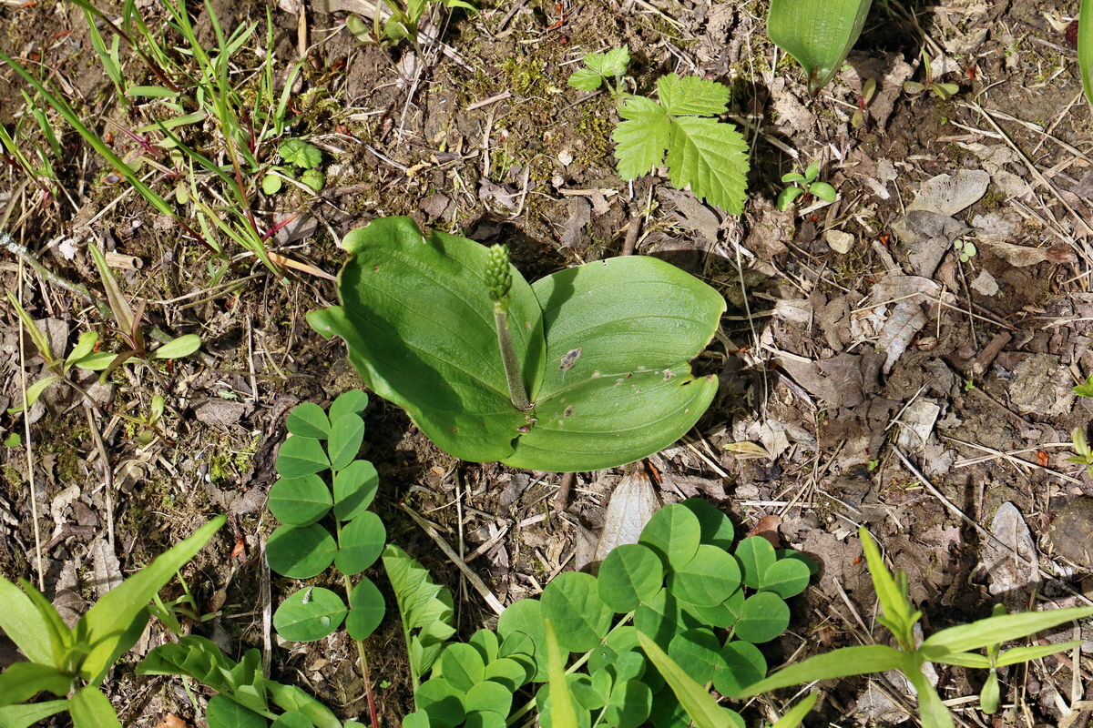 IMG_2578p_Bildgr��e �ndern