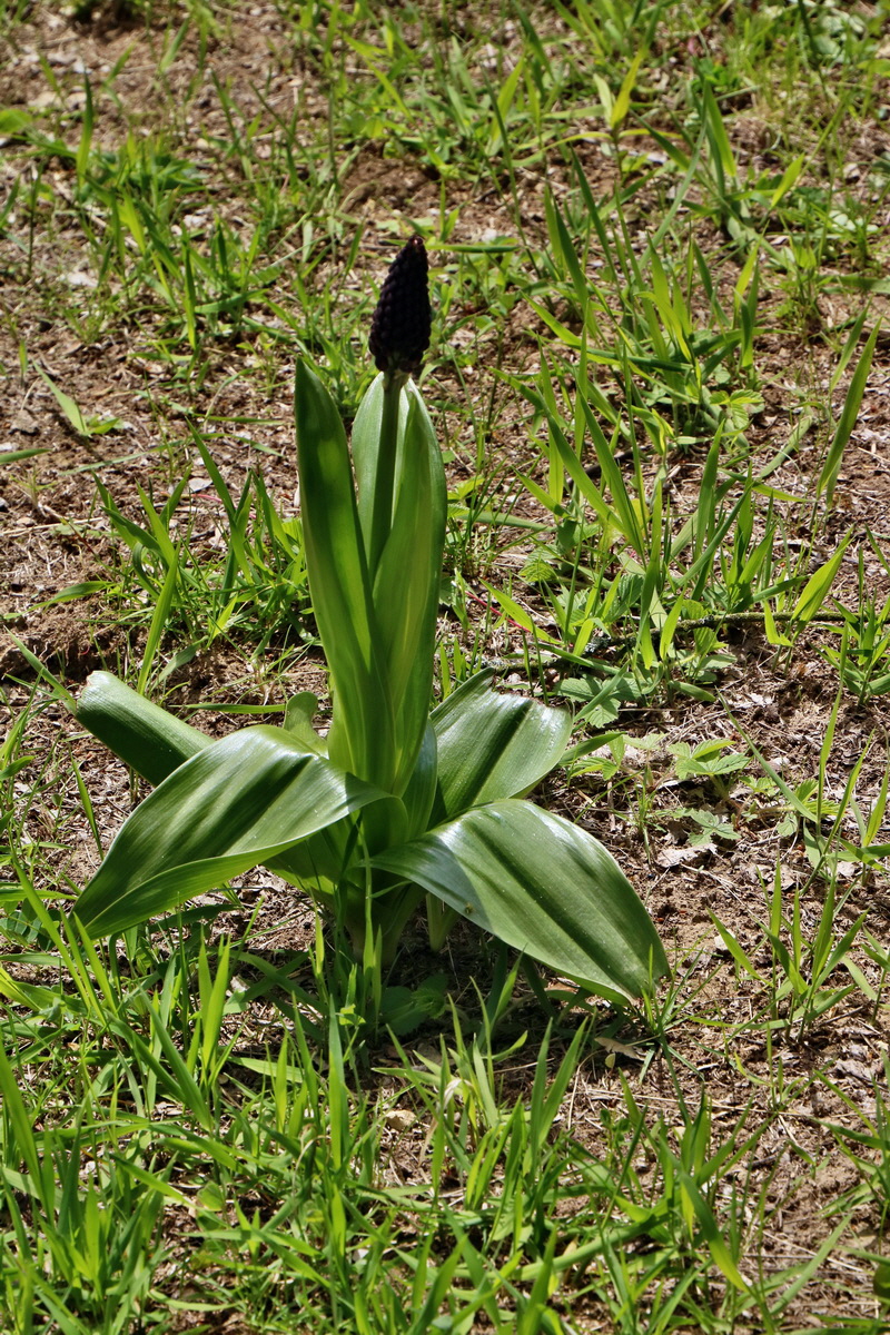 IMG_2583p_Bildgr��e �ndern