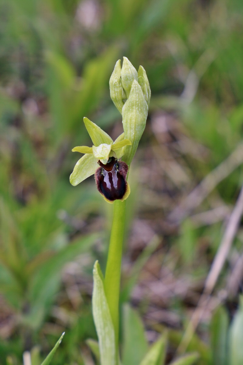 IMG_2588p_Bildgr��e �ndern