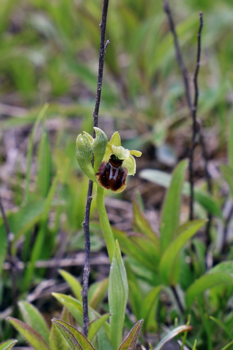 IMG_2591p_Bildgr��e �ndern