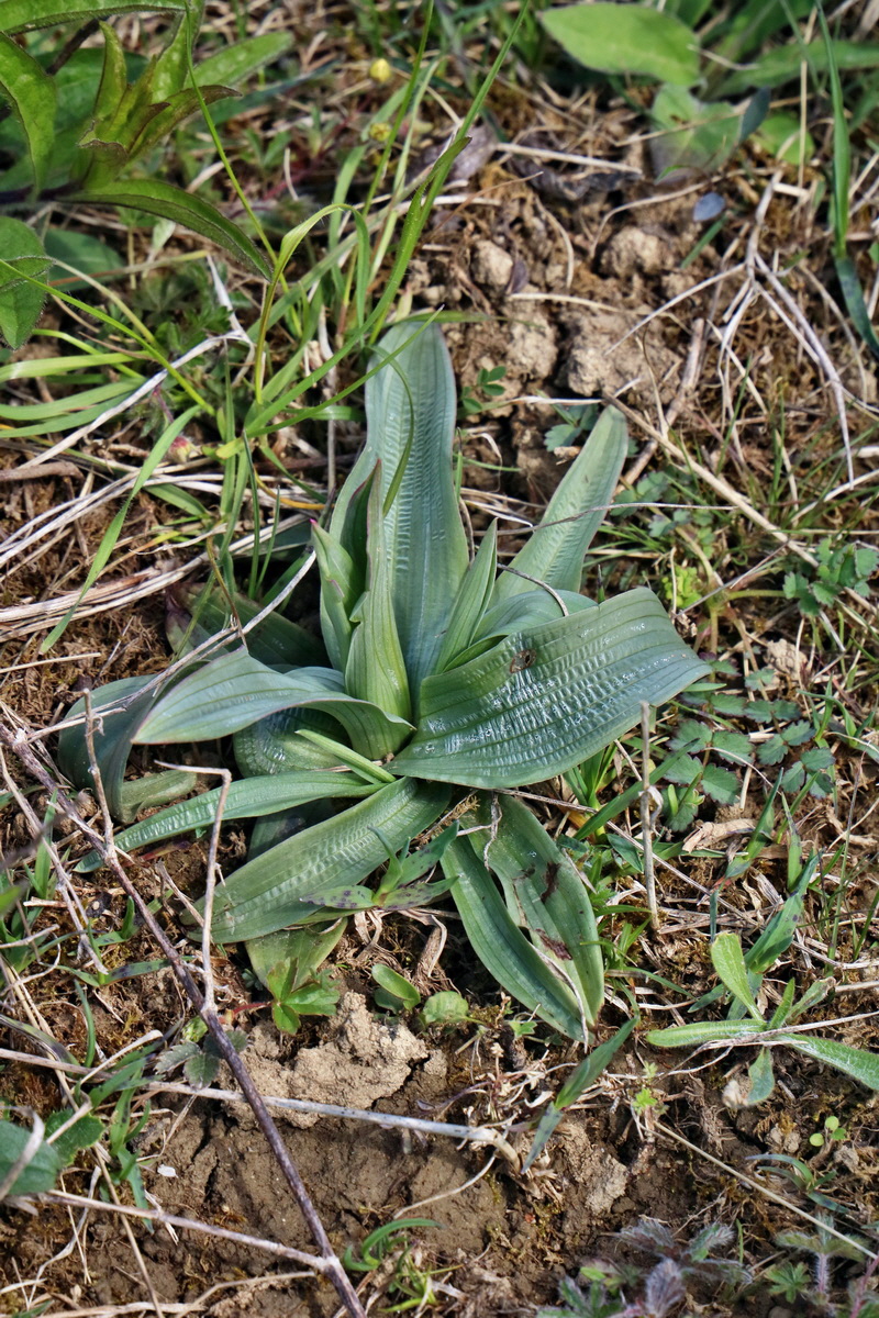 IMG_2593p_Bildgr��e �ndern