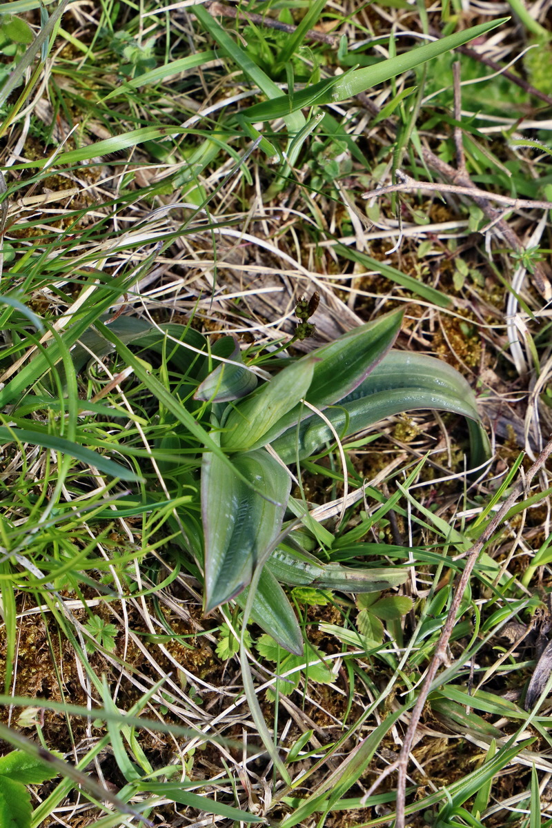 IMG_2597p_Bildgr��e �ndern