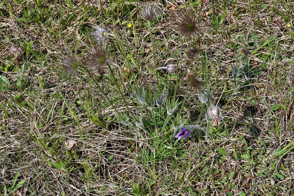 IMG_2620p_Bildgr��e �ndern