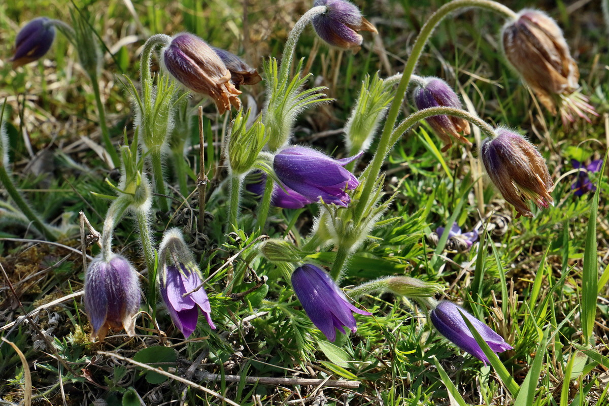 IMG_2625p_Bildgr��e �ndern